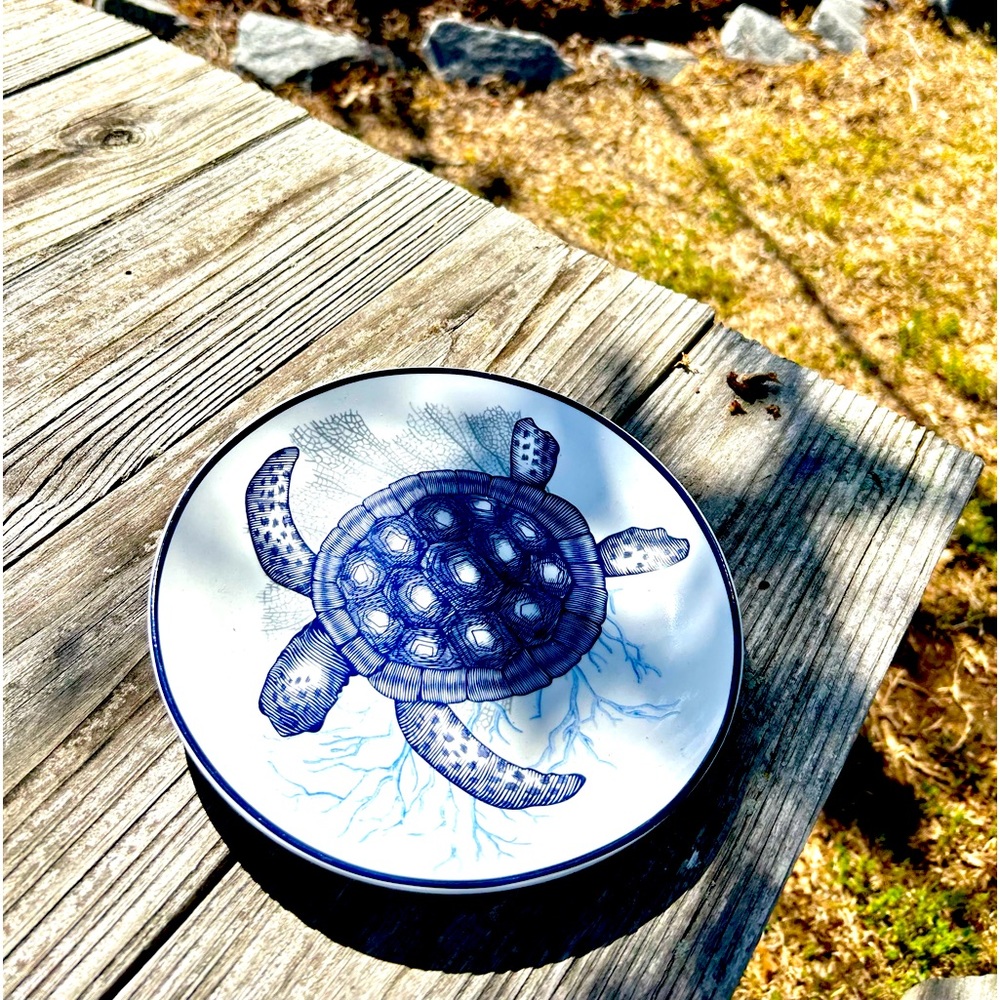 Turtle Plate - Picture 4 of 4
